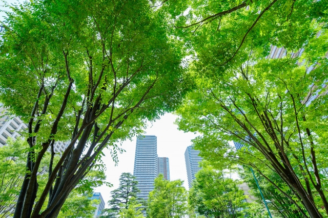 新築・中古マンションカタログの違い｜見られる情報を徹底比較の画像