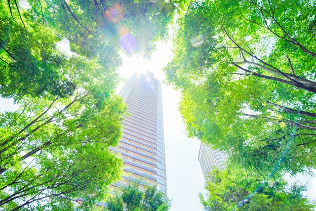 未募集マンションを追う前に｜物件情報DBの見方と注意点の画像