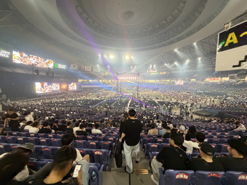 超RIZIN　の画像