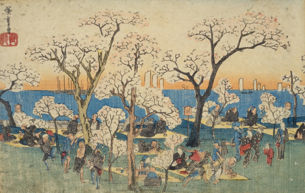 【歴史・植物学】なぜ「御殿山」の桜は江戸時代から有名だったのか？徳川家光が仕掛けた都市プロデュースと桜の科学の画像