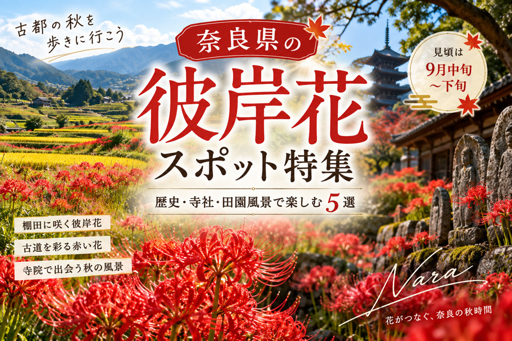 奈良県の彼岸花スポット5選｜見頃はいつ？明日香村・九品寺・佛隆寺など秋の絶景の画像