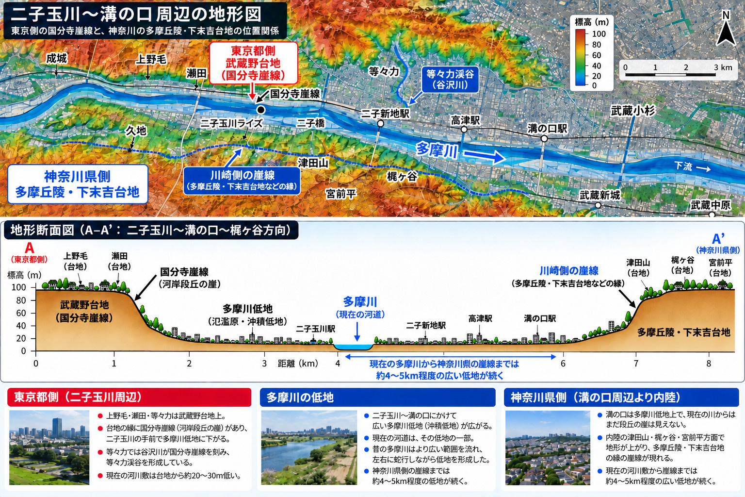 二子玉川から溝の口周辺の地形図。武蔵野台地、国分寺崖線、多摩川低地、多摩丘陵・下末吉台地の位置関係