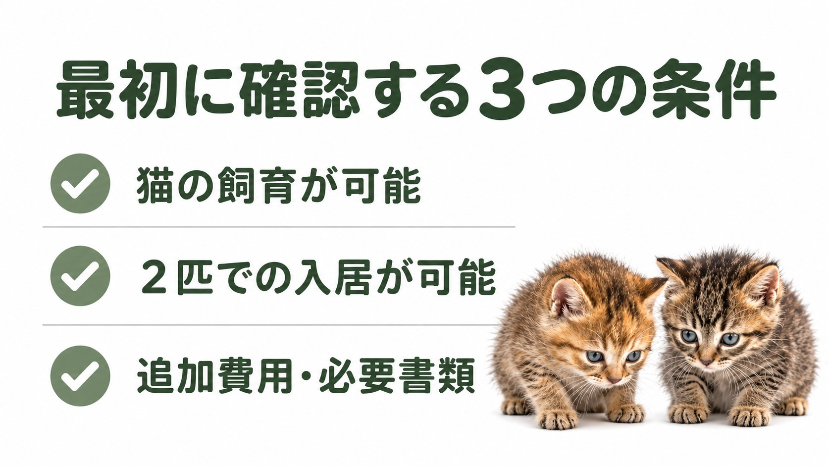 猫の飼育・2匹での入居・追加費用と必要書類を確認するチェックリスト