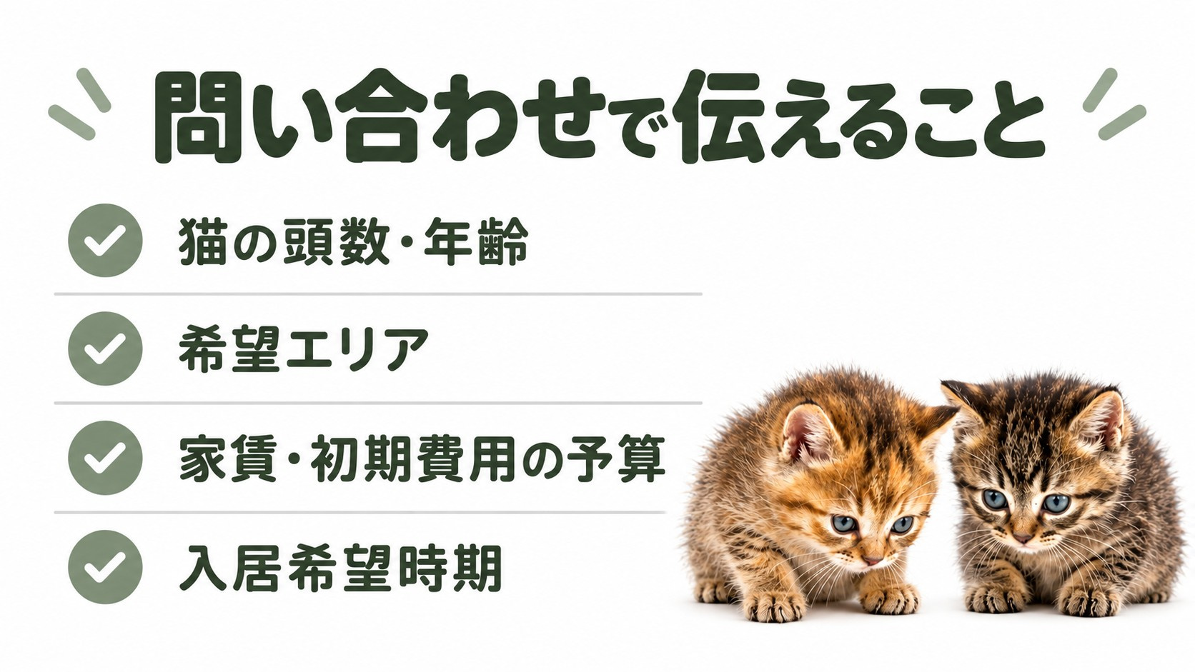 問い合わせで伝える猫の頭数年齢・希望エリア・予算・入居時期