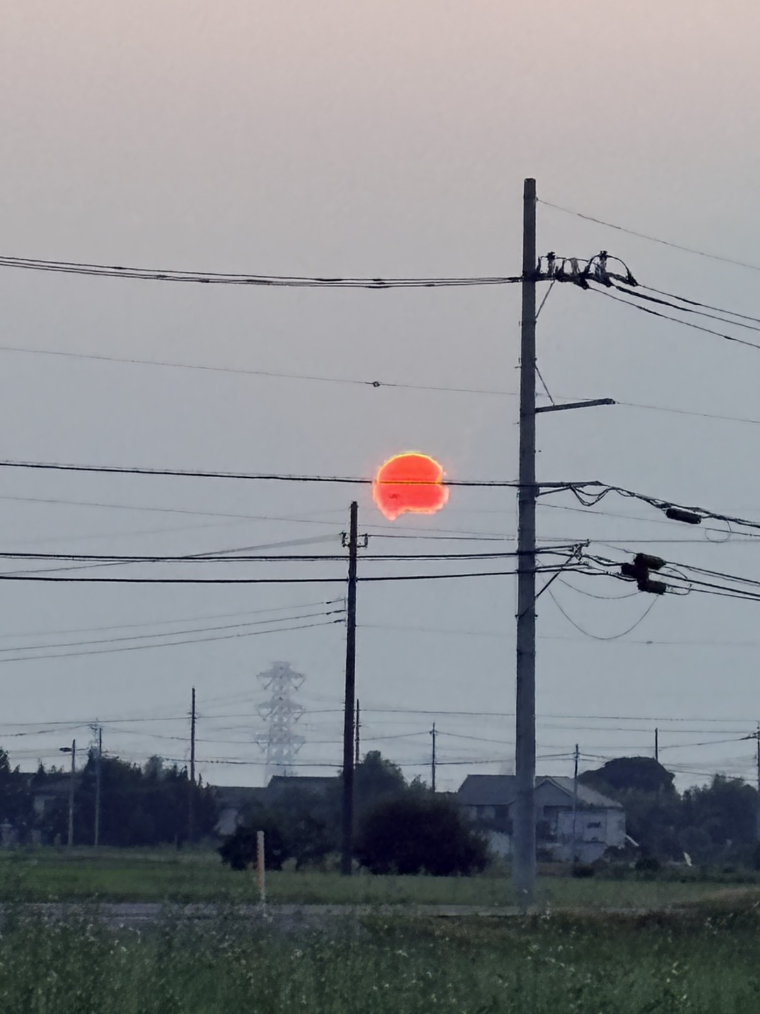 少し怖い太陽。の画像