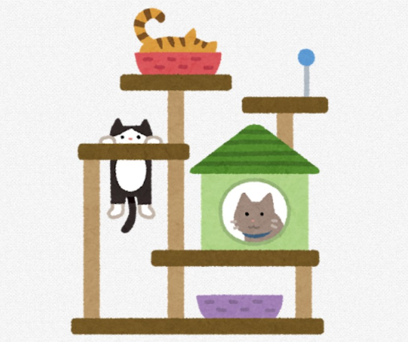 猫島~part2~にゃんこパラダイス編の画像