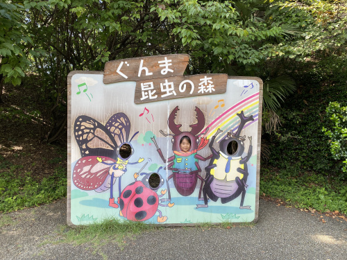 ぐんま昆虫の森の画像