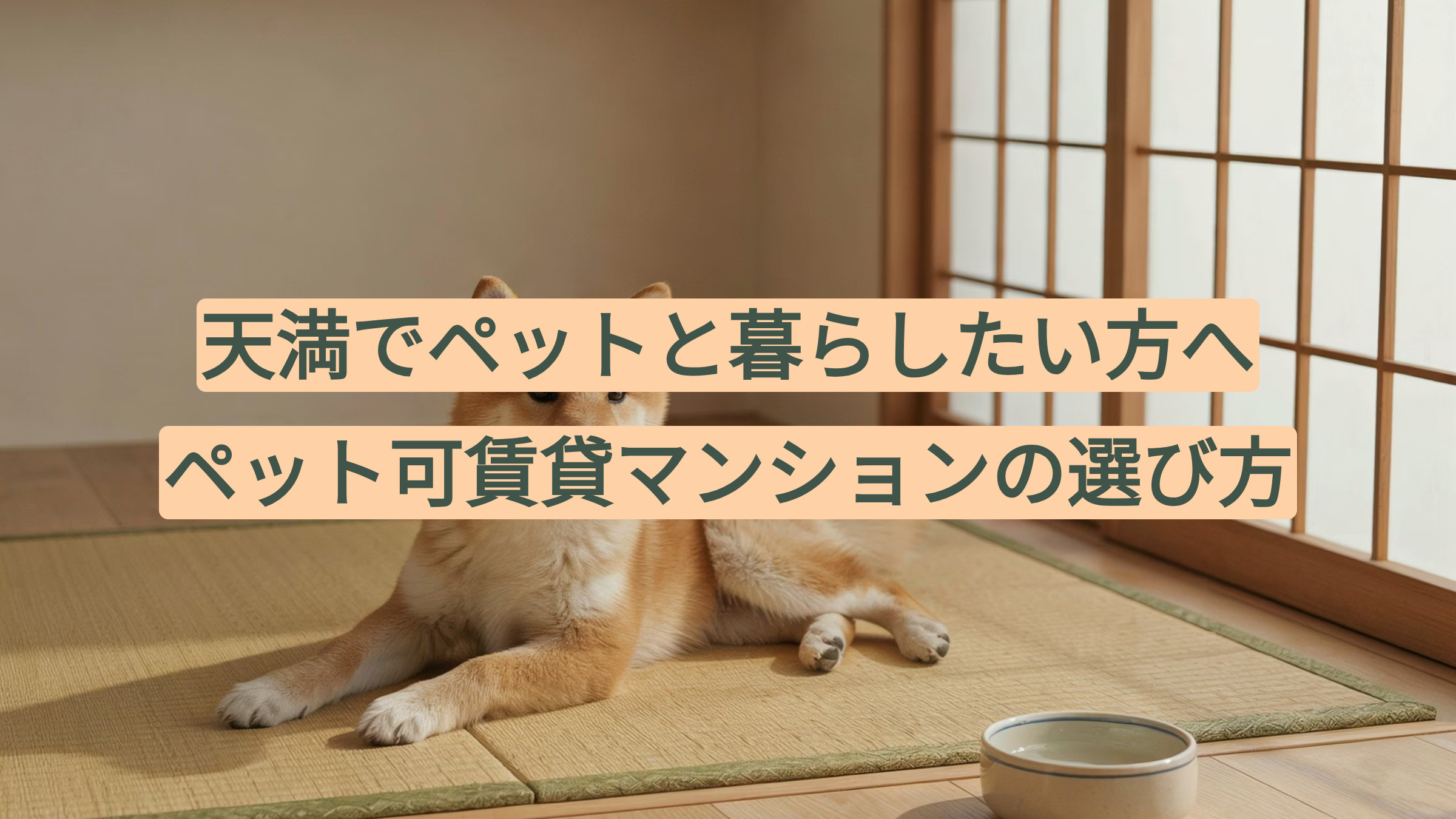 天満でペットと暮らしたい方へ｜ペット可賃貸マンションの選び方の画像