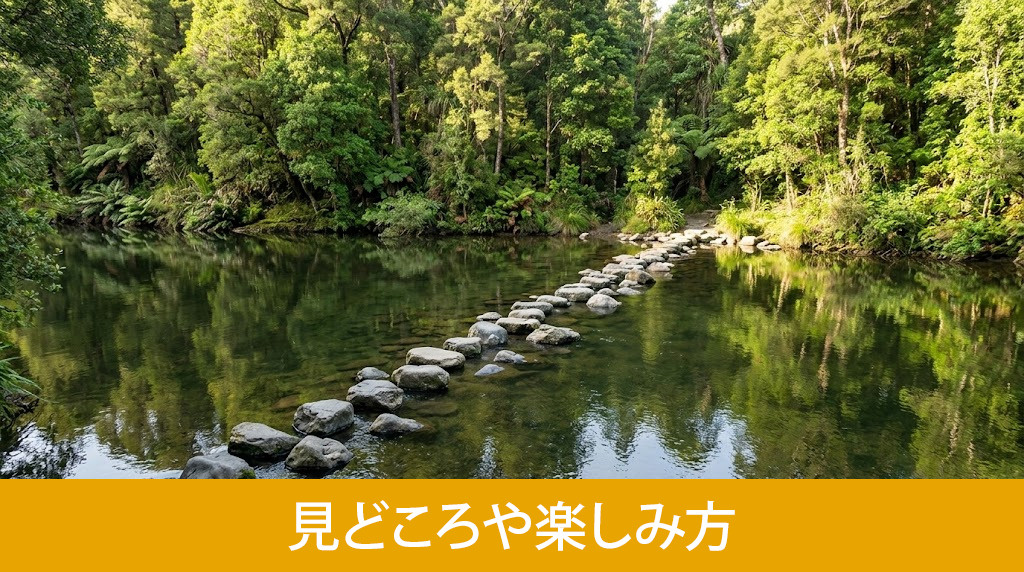 「諫早公園」の見どころや楽しみ方
