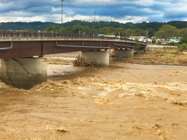 岡崎市のゲリラ豪雨を見逃さない|天気レーダー確認5ステップの画像