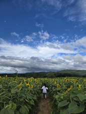田舎初体験!の画像