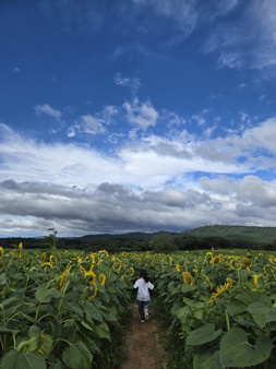 田舎初体験！の画像