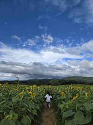 田舎初体験!の画像