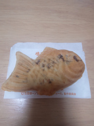 秋から冬にかけての画像