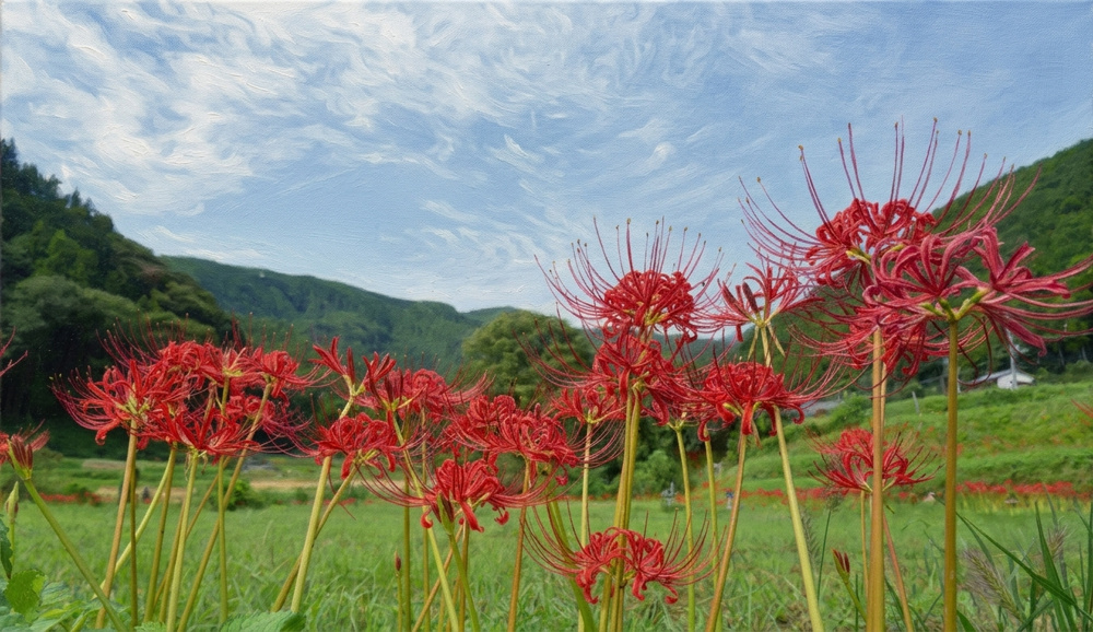 今日は　秋分の日です　の画像