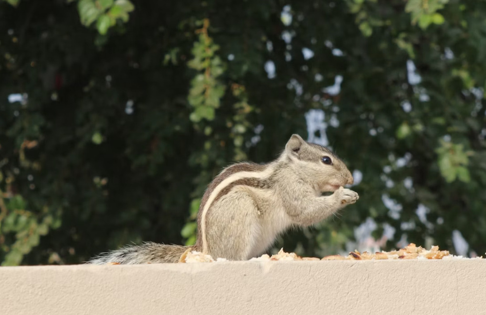 【2026年最新版】東大阪市の不動産一括査定｜失敗しない不動産会社の選び方の画像
