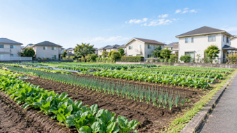 生産緑地は固定資産税が安くなる？税額が変わる理由や買取り申出も解説の画像