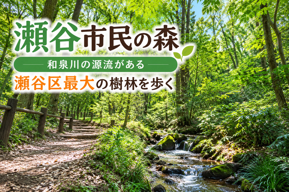 瀬谷市民の森｜和泉川の源流がある瀬谷区最大の樹林を歩くの画像