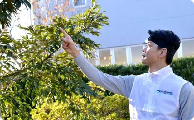 庭木の確認の作業例