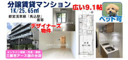【ペット可】デザイナーズ分譲賃貸マンション1K・広めの9.1帖｜馬込駅の画像