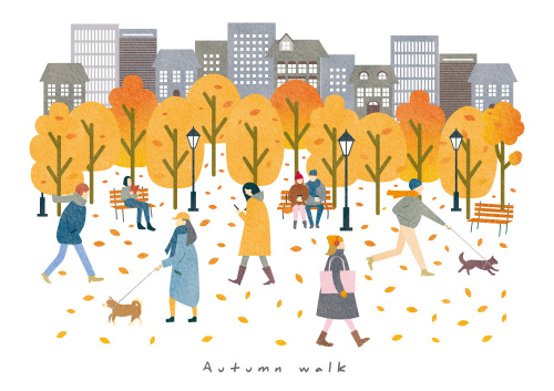 なぜ紅葉は赤や黄色になる?秋の葉っぱのひみつの画像