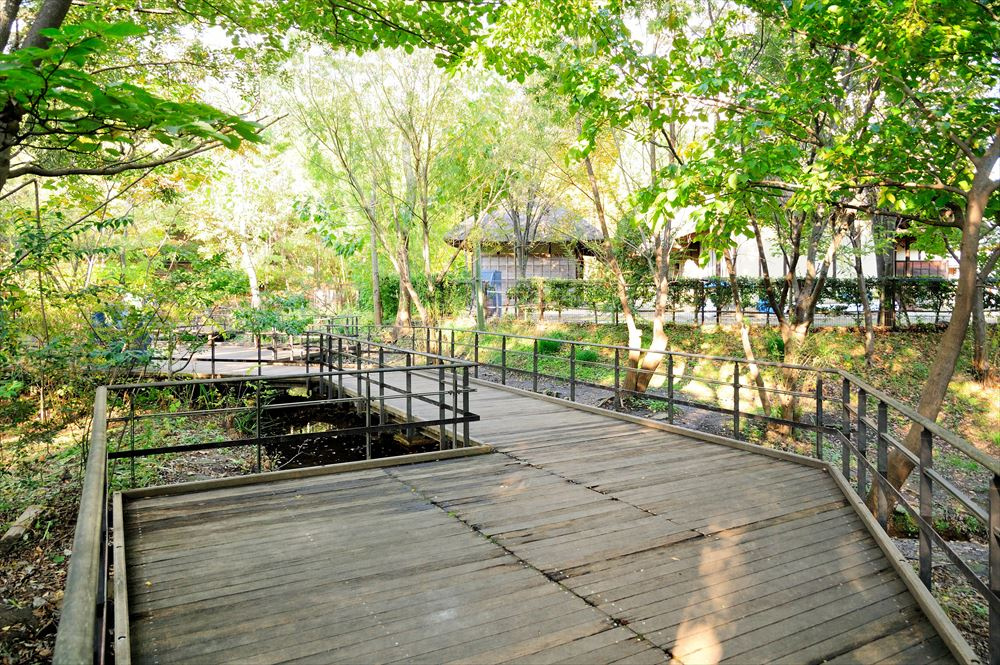 赤羽自然観察公園の様子