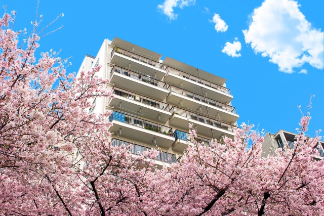 【岡崎市】賃貸地図から探す部屋探し|近くの不動産店も比較の画像