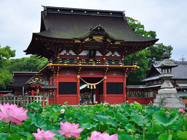伊賀八幡宮例大祭とは何か歴史から学ぶ。見どころと地域との関わりを知るの画像