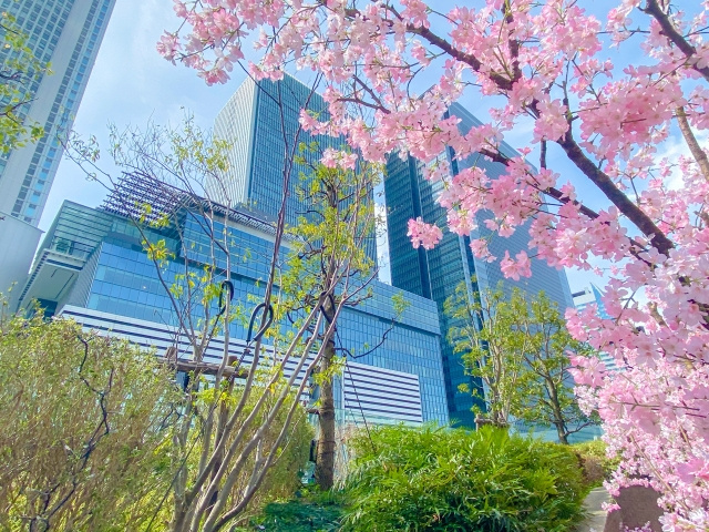 【国土交通省】不動産情報ライブラリで岡崎市の賃貸地図を使いこなす方法の画像