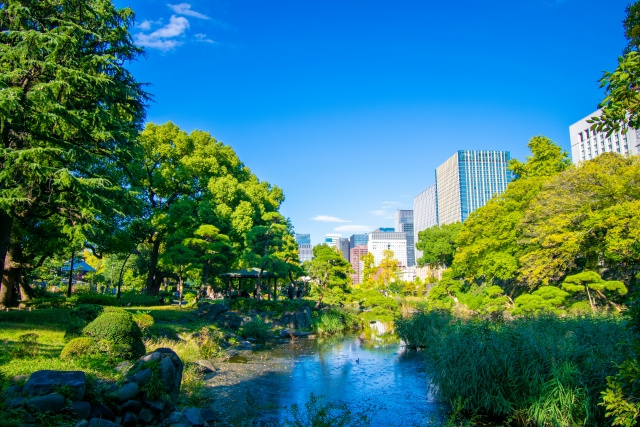 内見前の新常識！不動産情報ライブラリで岡崎市の賃貸リスクを確認の画像
