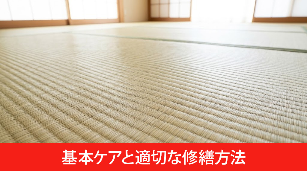  畳を長持ちさせる基本ケアと適切な修繕方法