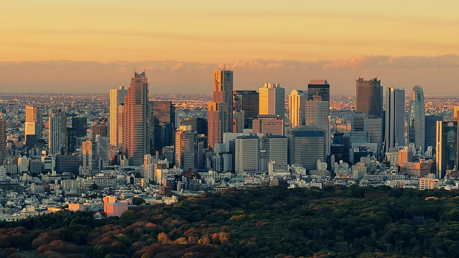 Tokyo Rent Trends 2026: Record-High Rents and What to Do About Themの画像