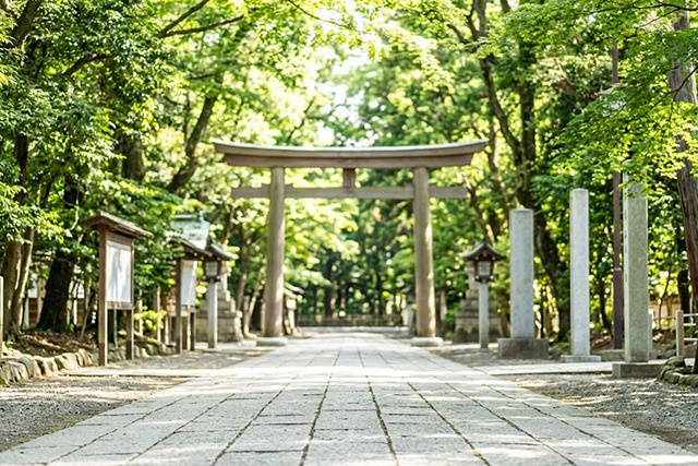 四季折々の伝統を感じる八阪神社の主要な祭事