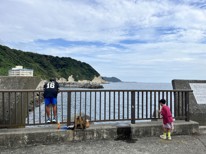 小坪漁港で釣りをしましたの画像