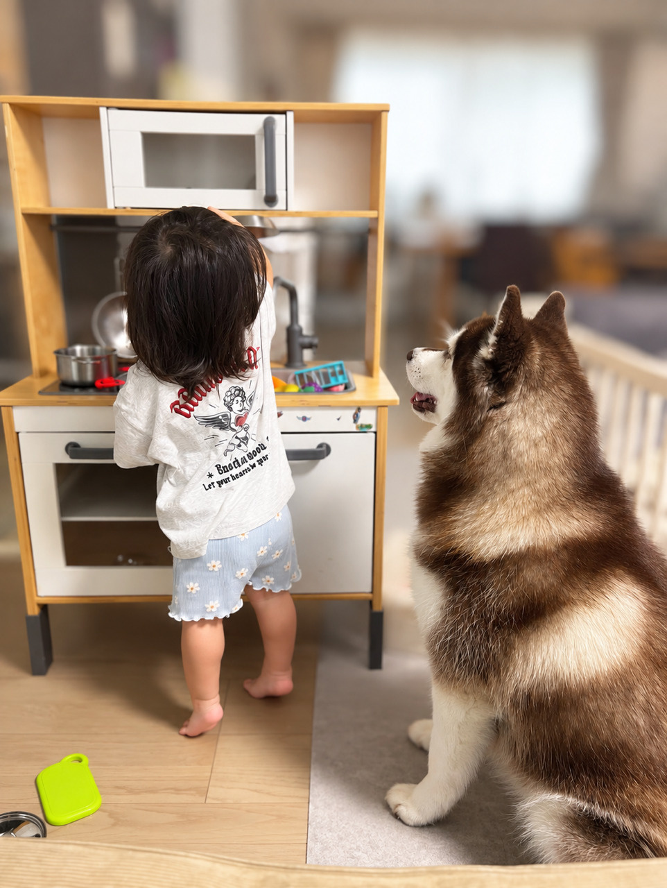 最近の我が家の一コマの画像