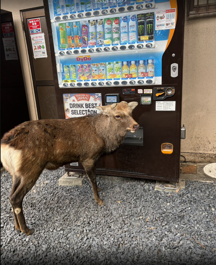 奈良へGO！！の画像