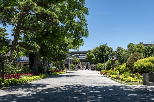 物件から徒歩3分の住吉公園