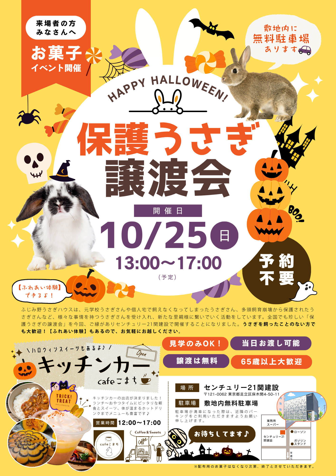 【お知らせ】10/25(日) 保護うさぎの譲渡会の画像
