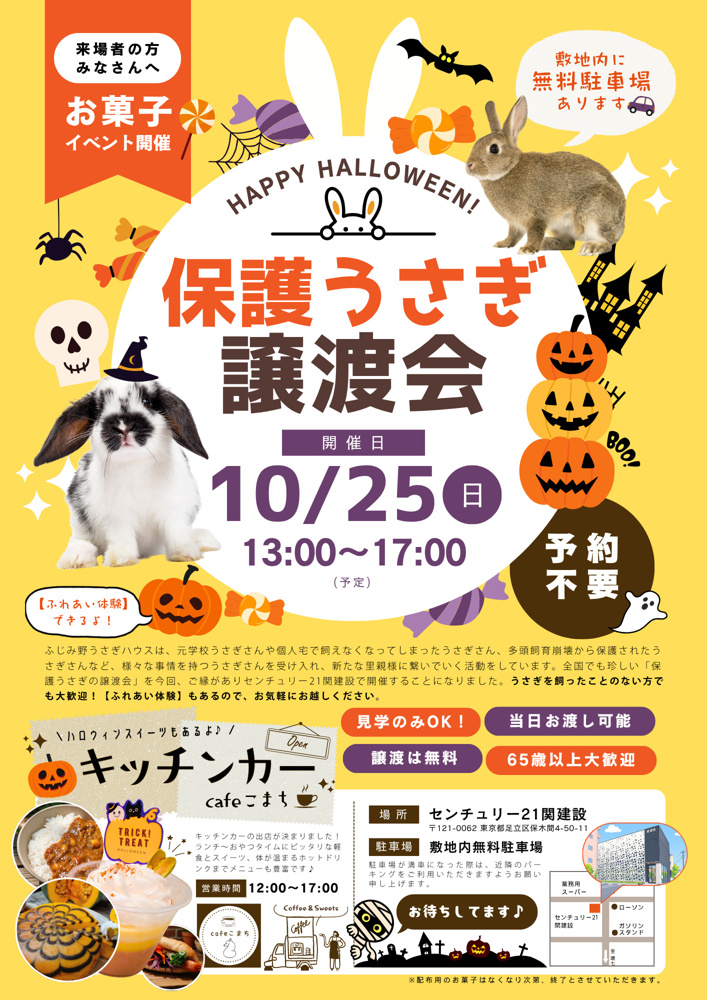 【お知らせ】10/25(日) 保護うさぎの譲渡会の画像