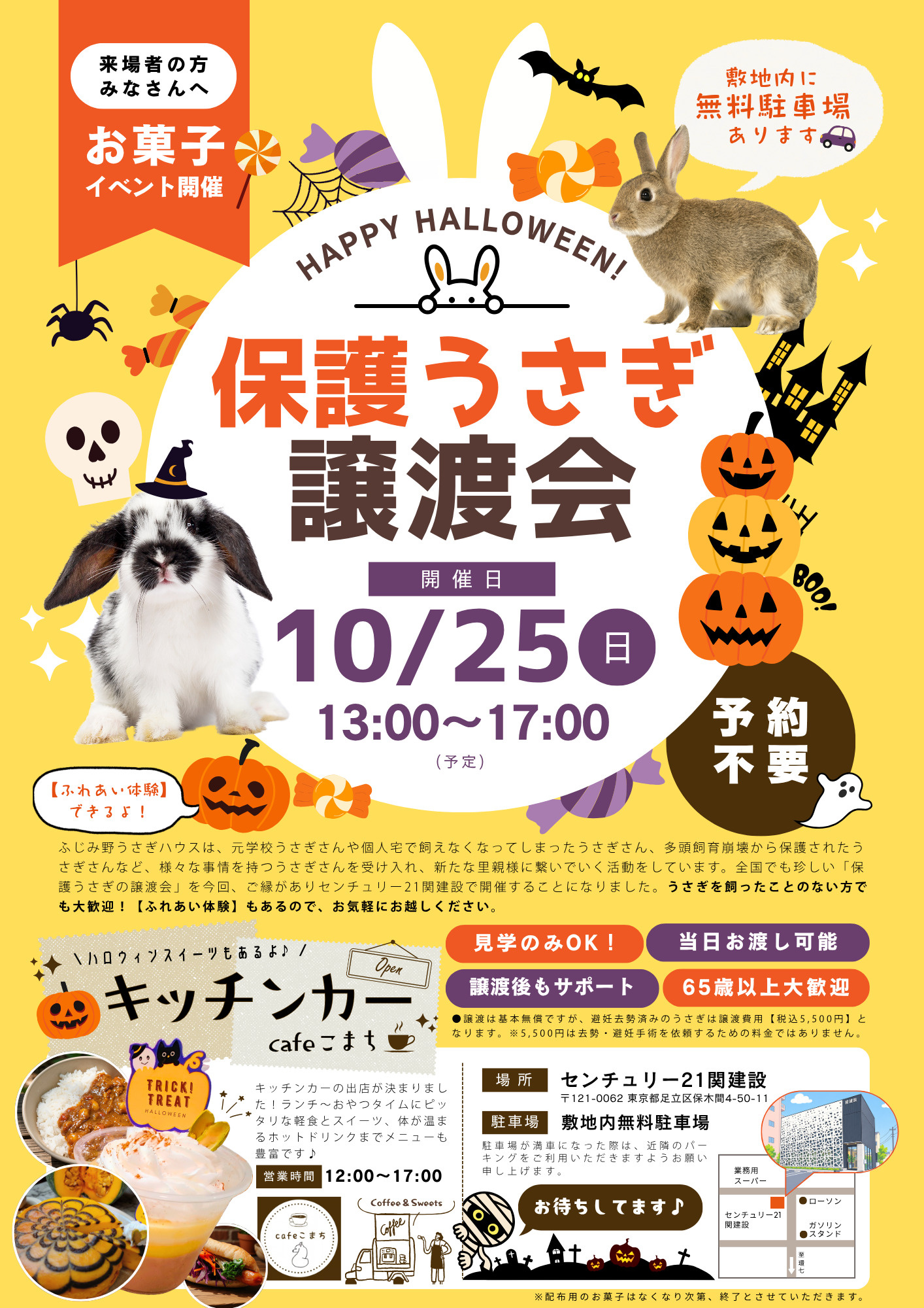 【お知らせ】10/25(日) 保護うさぎの譲渡会の画像