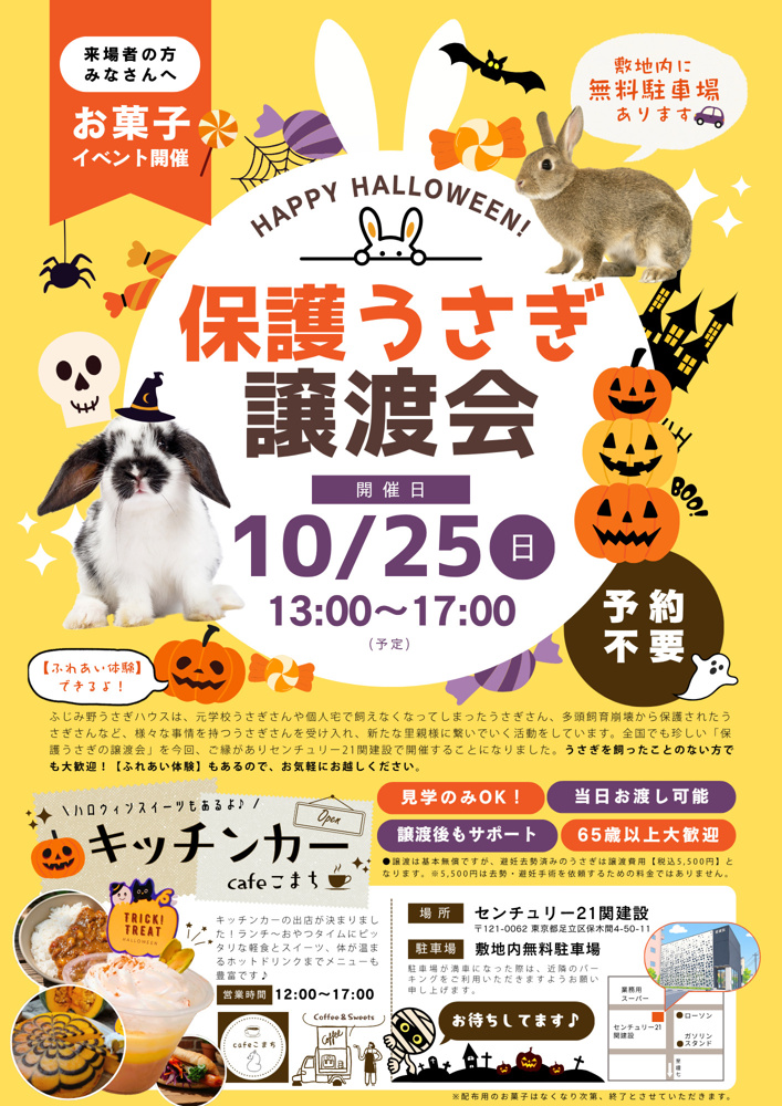 【お知らせ】10/25(日) 保護うさぎの譲渡会の画像