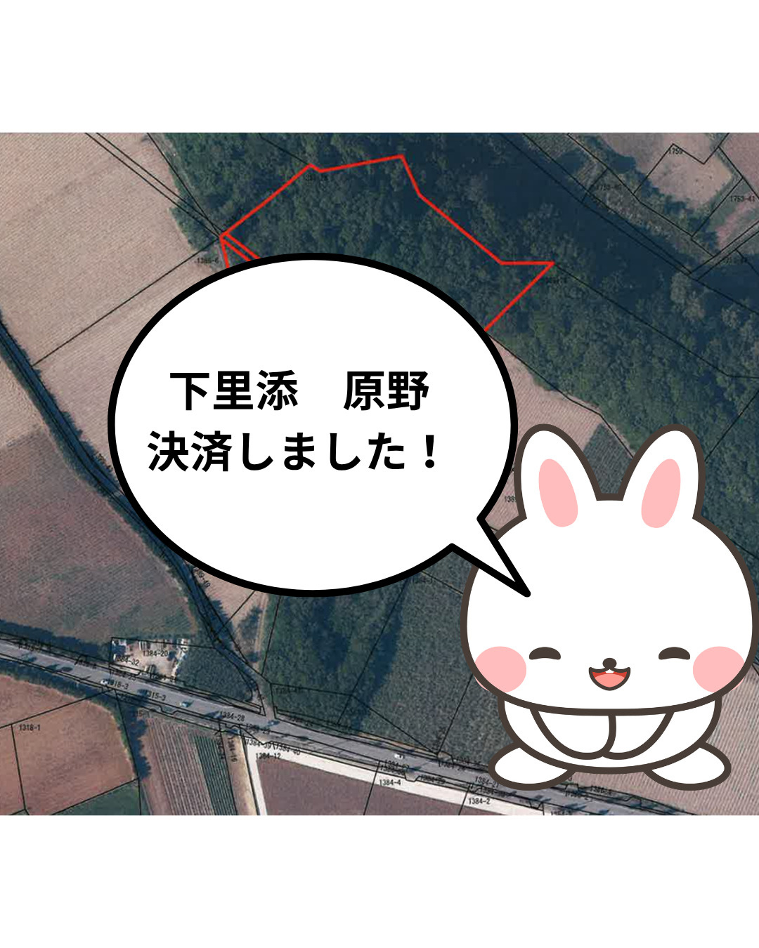 城辺下里添　原野　決済しました！の画像