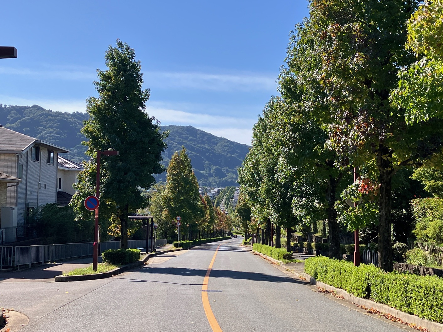 桂坂の画像