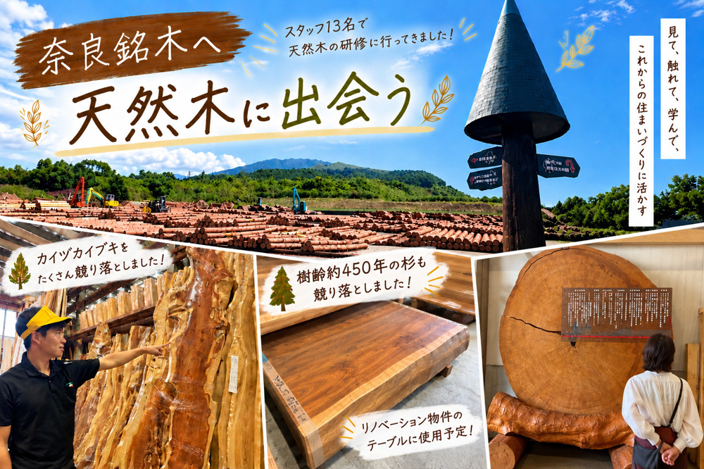 奈良銘木へ！初めての競りにスタッフも大興奮✨の画像
