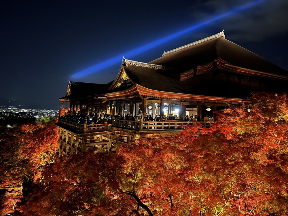 秋ですねぇの画像