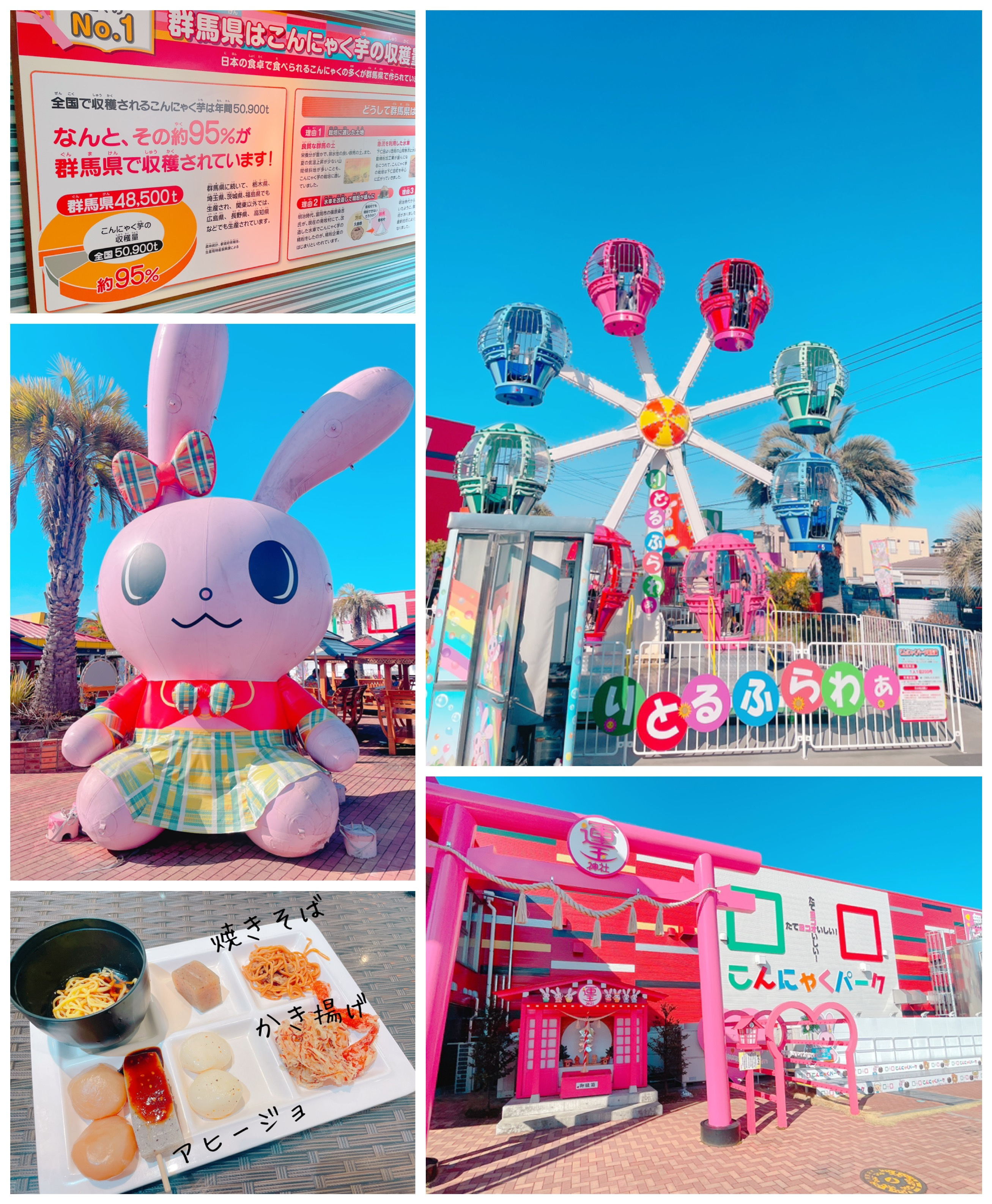 2026年10月5日（月）オープン中！（現地集合ご案内可能です！）の画像