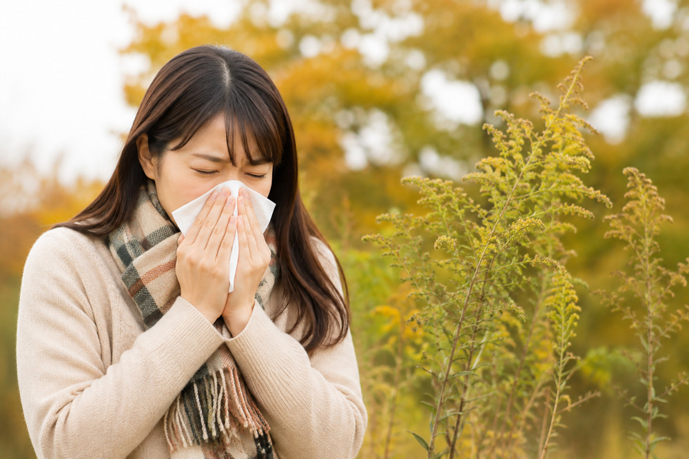 秋の花粉症？くしゃみ・鼻水・目のかゆみに注意！原因と対策を解説の画像