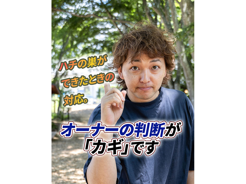 【軽井沢の賃貸経営】ハチの巣ができたときの対応。オーナーの判断が「カギ」です〜賃貸オーナー様へ〜の画像