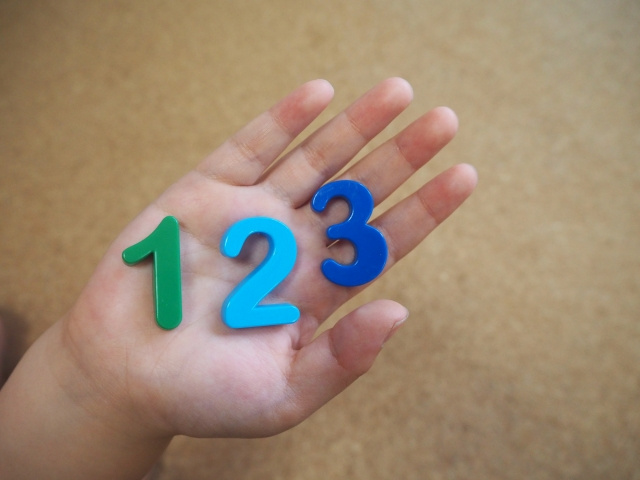 岡崎市で安心して暮らすには？治安と浸水リスクの確認法の画像