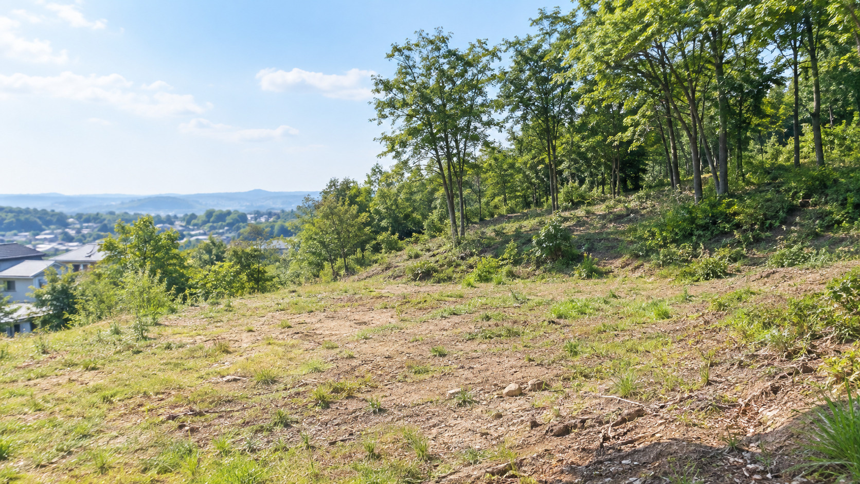 地目が山林の土地に家を建てるデメリットは？メリットや費用の注意点も解説